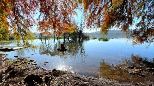 lago della schiranna in italia, 2 novembre 2024