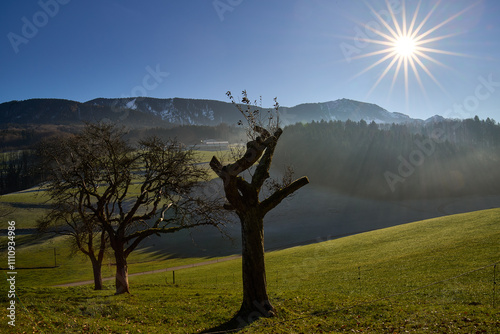 Sonniger Herbsttag mit Nebel und Alpenpanorama