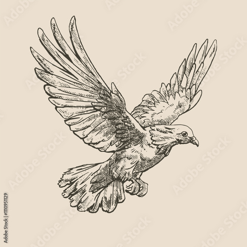 Flying dove, bird, illustration in medieval engraving style