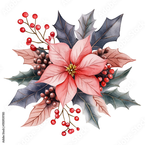 Watercolor Christmas and winter bouquet with poinsettia flowers, holly berries and other plants png. Watercolor Christmas bouquet of winter plants. Vector illustration.