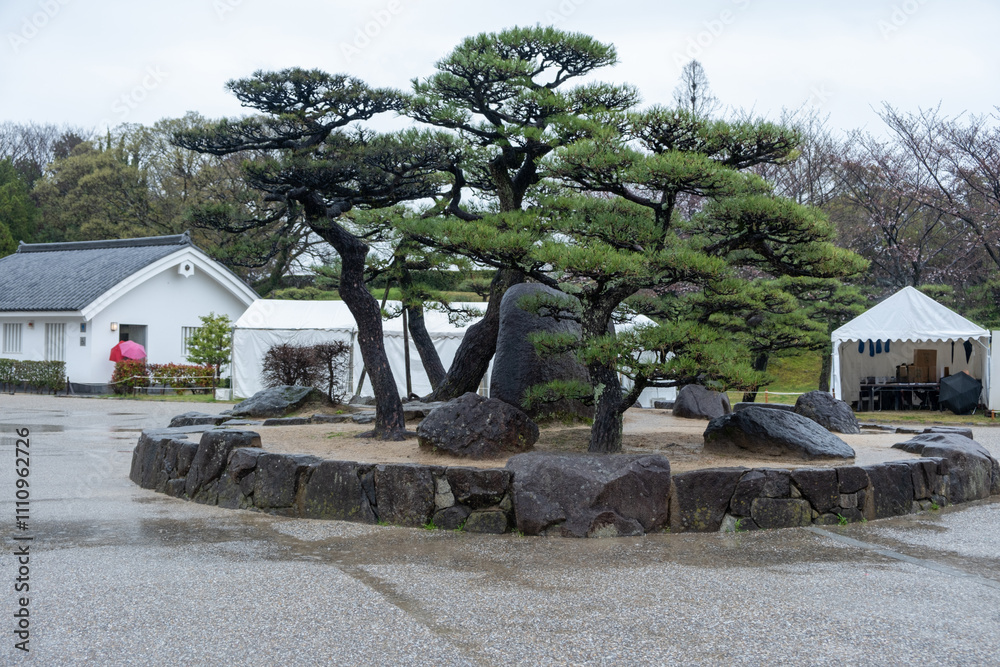 Japan, Himeji castle. large rocks and black pines at the entrance, cloudy sky, rainy day