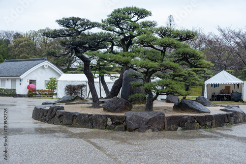 Obraz na płótnie Japan, Himeji castle. large rocks and black pines at the entrance, cloudy sky, rainy day w salonie