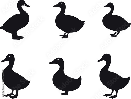 set of ducks