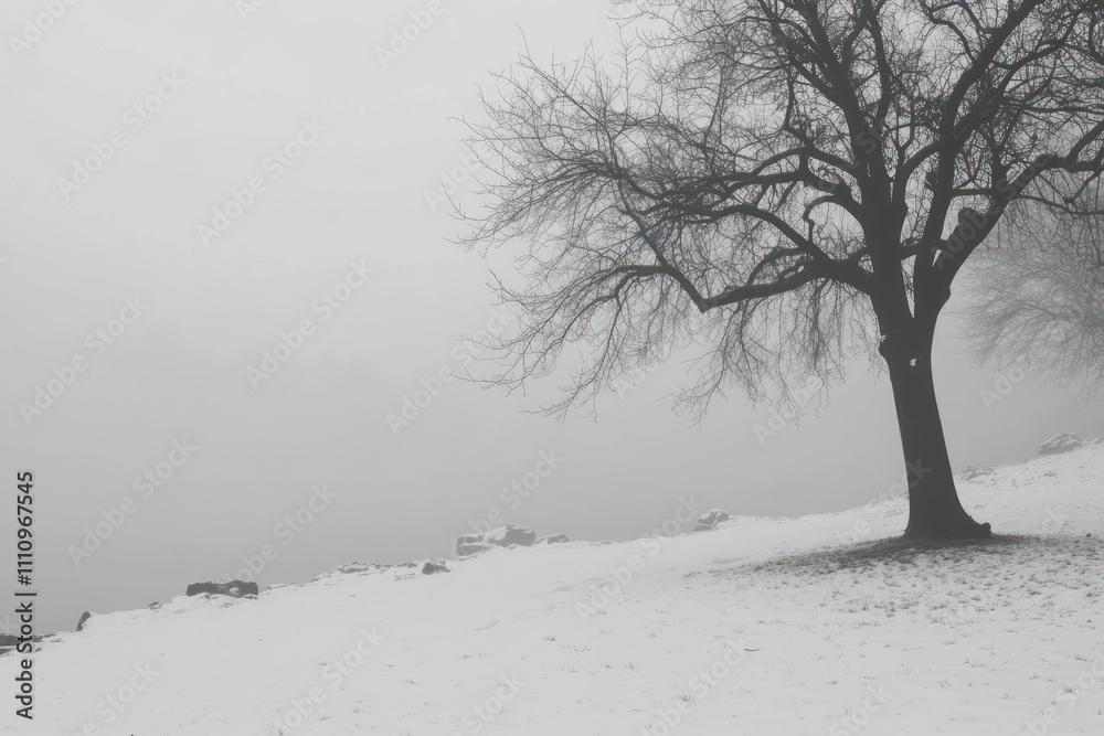 Fototapeta premium Bare tree in a snowy landscape on a foggy winter day
