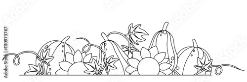 Vector drawing. Autumn composition, bouquet, frame with pumpkins and sunflowers. Thanksgiving coloring book photo