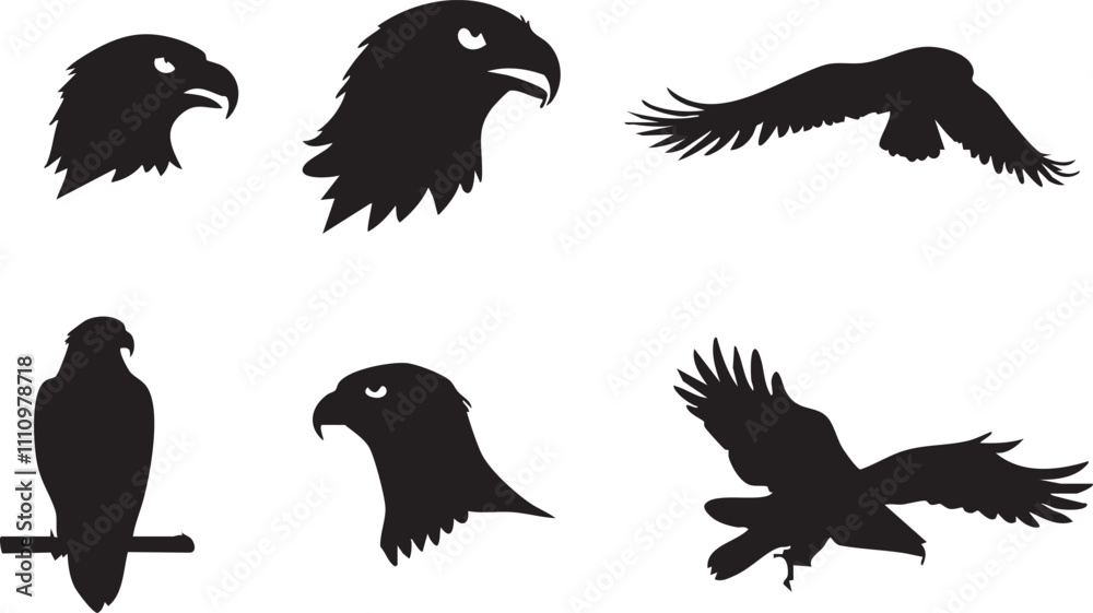 Obraz premium Fierce Hawk Head Vector Art for Professional Use 