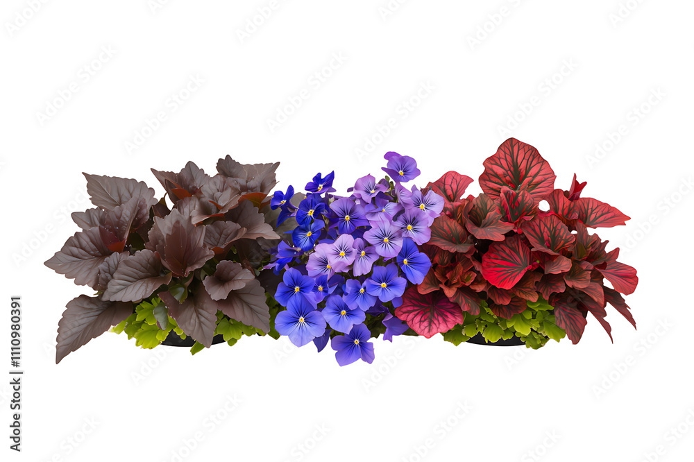 Obraz premium Nature inspiration bright close-up photography of flower arrangements in home gardens