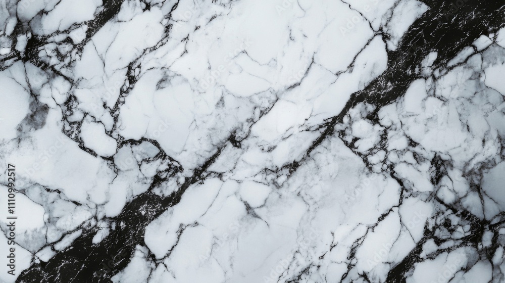White Marble Texture with Black Veins White Marble Texture with Black Veins