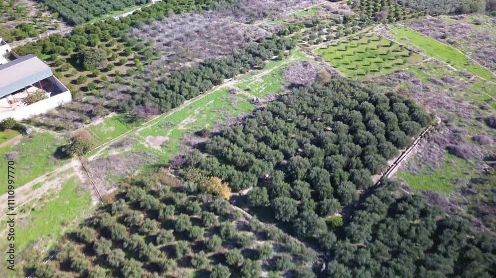 Flying over the fruit trees in Almeria Flying over the fruit trees in Almeria