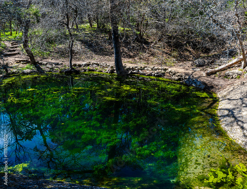 The Historic Wash Pond, Mother Neff State Park, Moody, Texas , USA photo