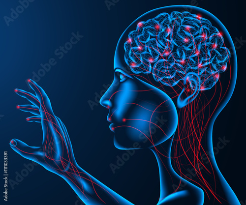 Human sense of touch. The impulse connection of the brain with the senses.