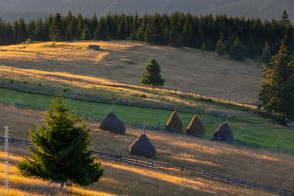 Calimani Mountains - Transylvania, Romania