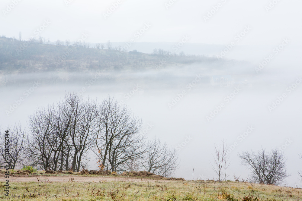 Beautiful landscape photo with a mysterious forest in the fog in Germany. Beautiful landscape photo with a mysterious forest in the fog in Germany.