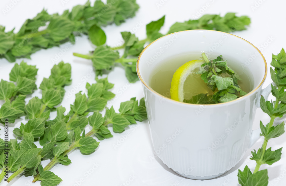 wild plants and natural herbal teas. thyme tea photos. wild plants and natural herbal teas. thyme tea photos.