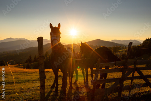 Obraz na płótnie Calimani Mountains - Transylvania, Romania w salonie