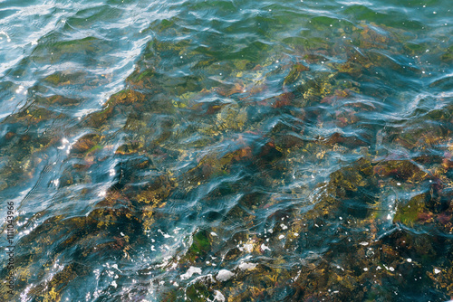 transparent waves through which stones are visible. Sea photo