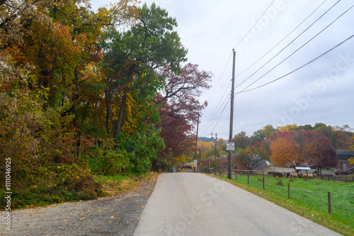 Wissahicken Valley Park during the Fall of 2023 photo