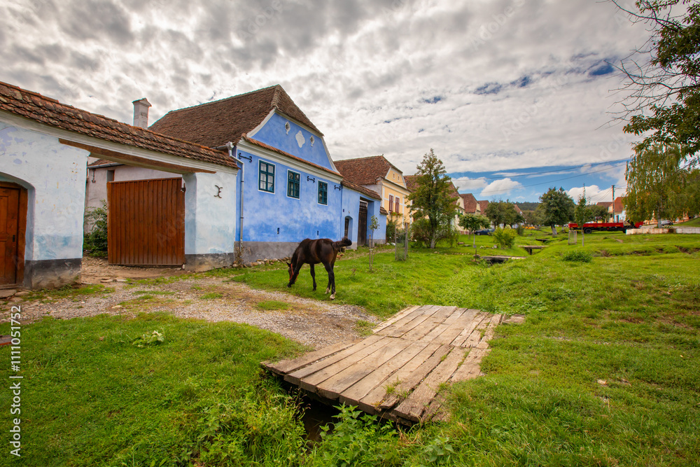 Viscri - Traditional Village in Transylvania, Romania