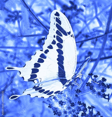 Artistic Butterfly in Blue