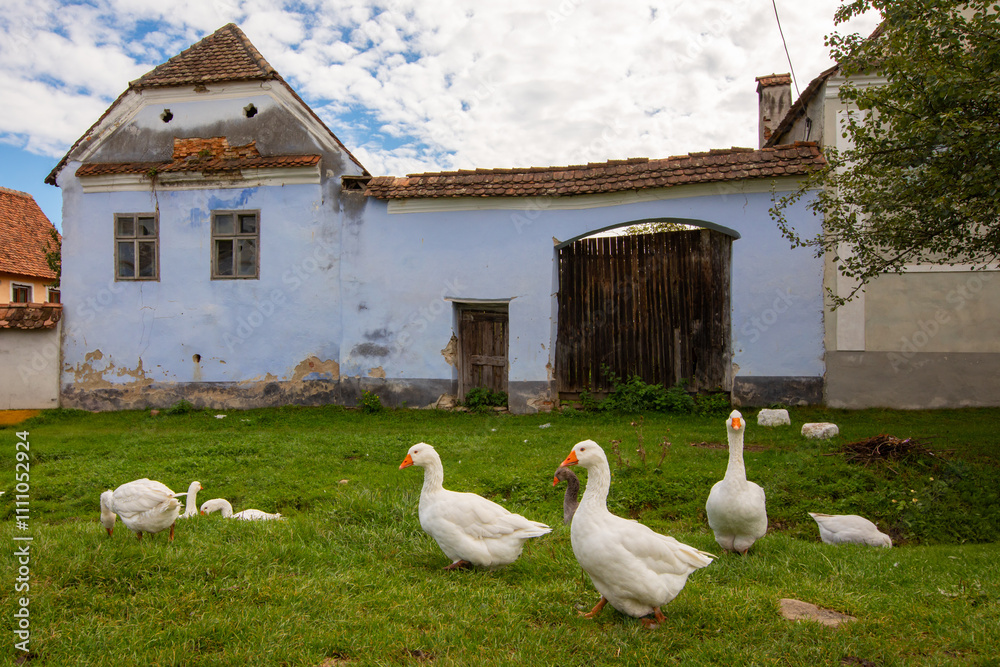 Viscri - Traditional Village in Transylvania, Romania