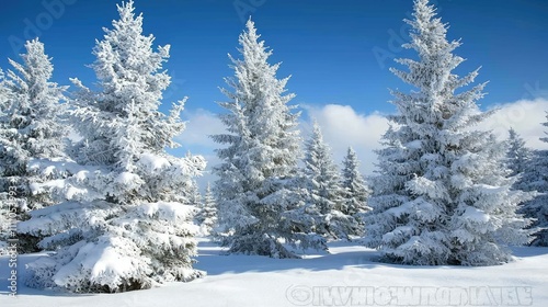 Beautiful Winter Landscape with Snow-Covered Evergreen Trees Under Bright Blue Sky and Fluffy Clouds, Perfect for Seasonal and Nature-Themed Projects and Designs