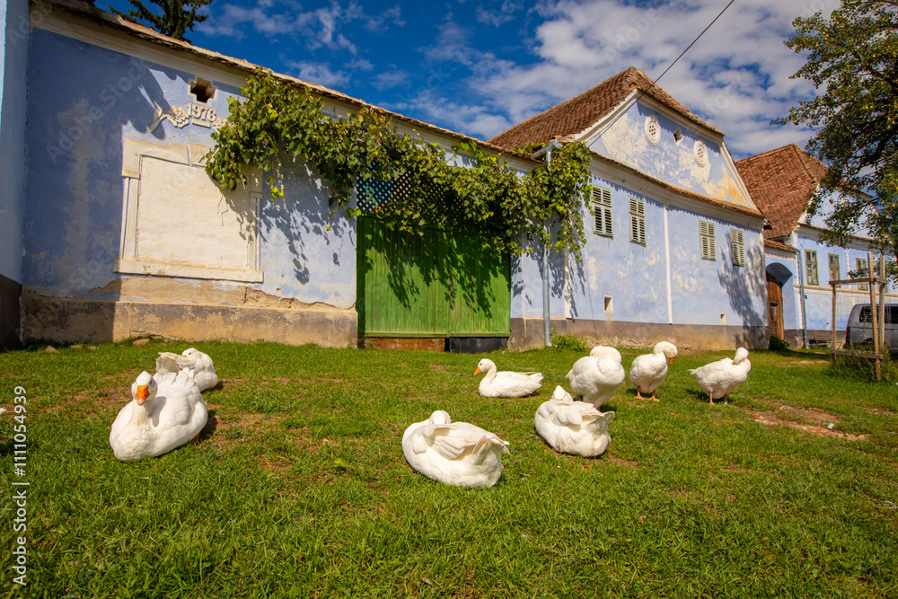 Viscri - Traditional Village in Transylvania, Romania
