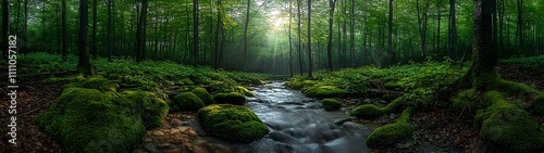 A serene forest scene featuring a gentle stream flowing through lush greenery, with sunlight filtering through the dense tree canopy, creating a tranquil and peaceful atmosphere.