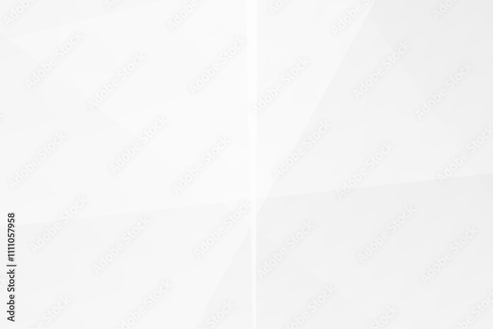 Obraz premium Abstract white and grey on light silver background modern design. Vector illustration eps 10.