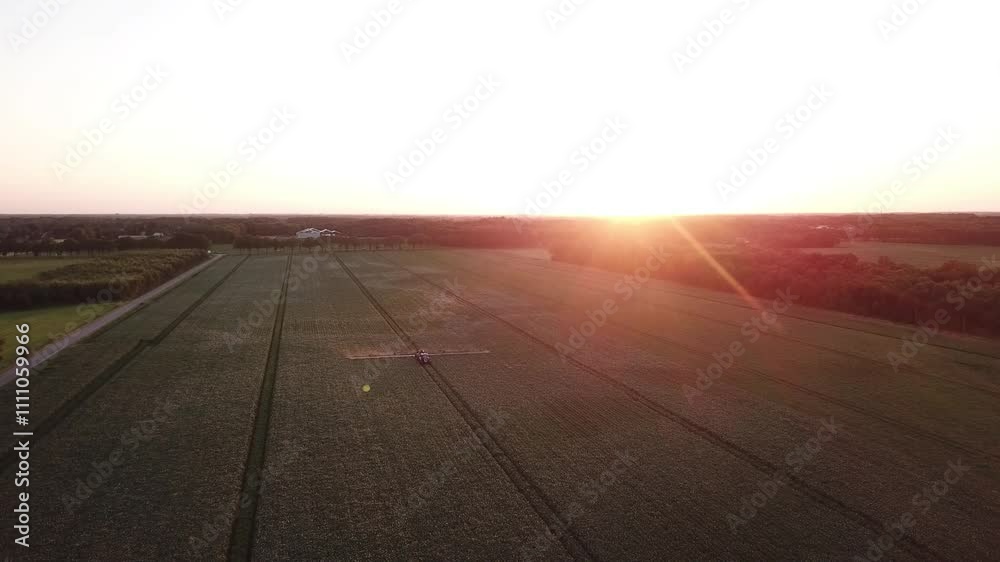 Blue Tracktor drives across the field during sunset and sprays the crops, potatoes