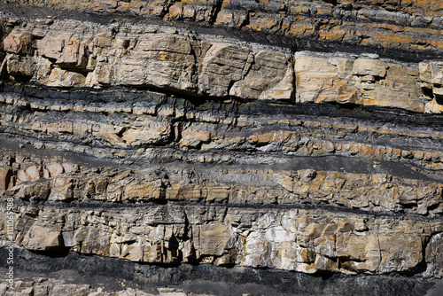 Coal seams exposed in rock of road cut in Carbon County Utah