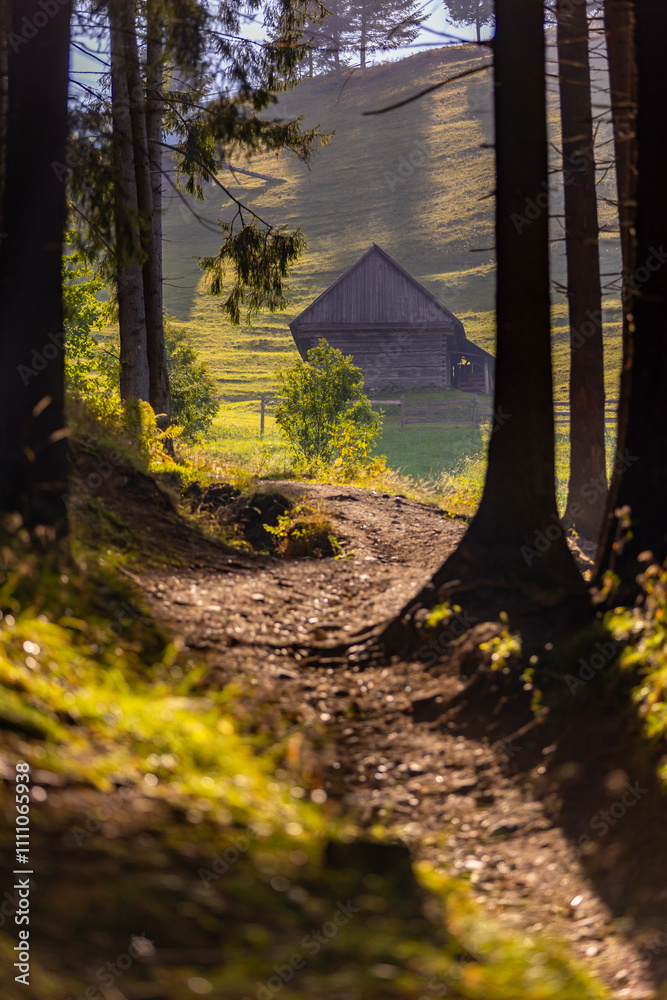 Bucegi Mountains - Romania