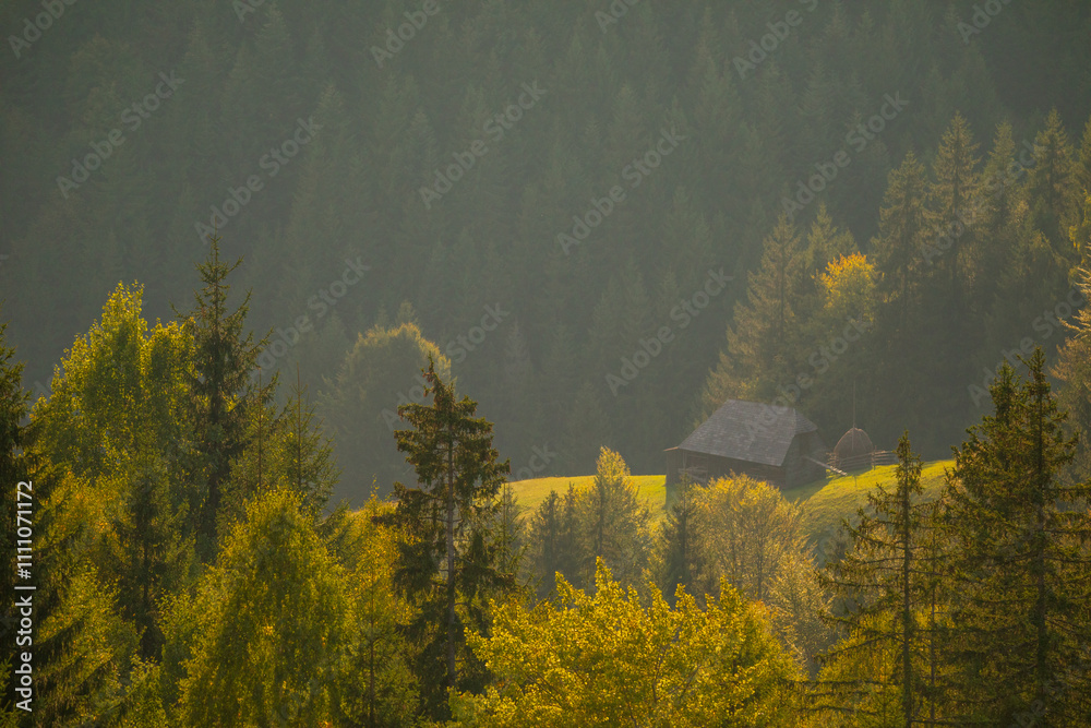 Bucegi Mountains - Romania