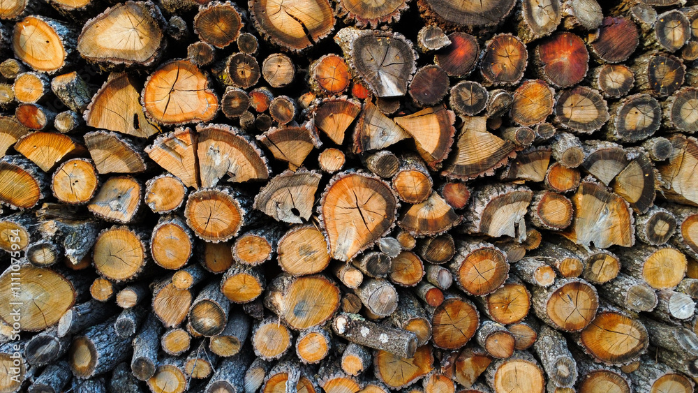 Stacked wooden logs displaying natural textures Stacked wooden logs displaying natural textures
