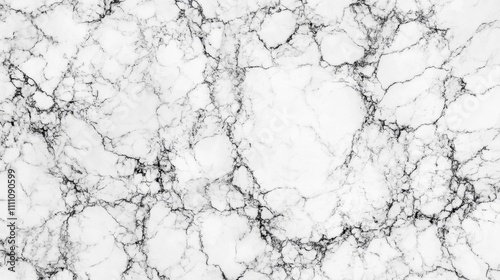 White Marble Surface with Black Veins