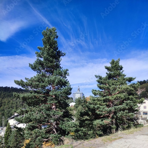 mountain pine trees and sky photo