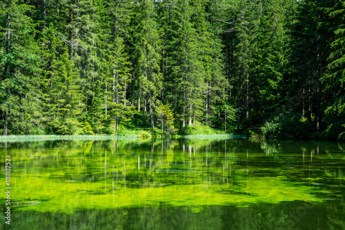 Detail of Green lake in Alps, Austria