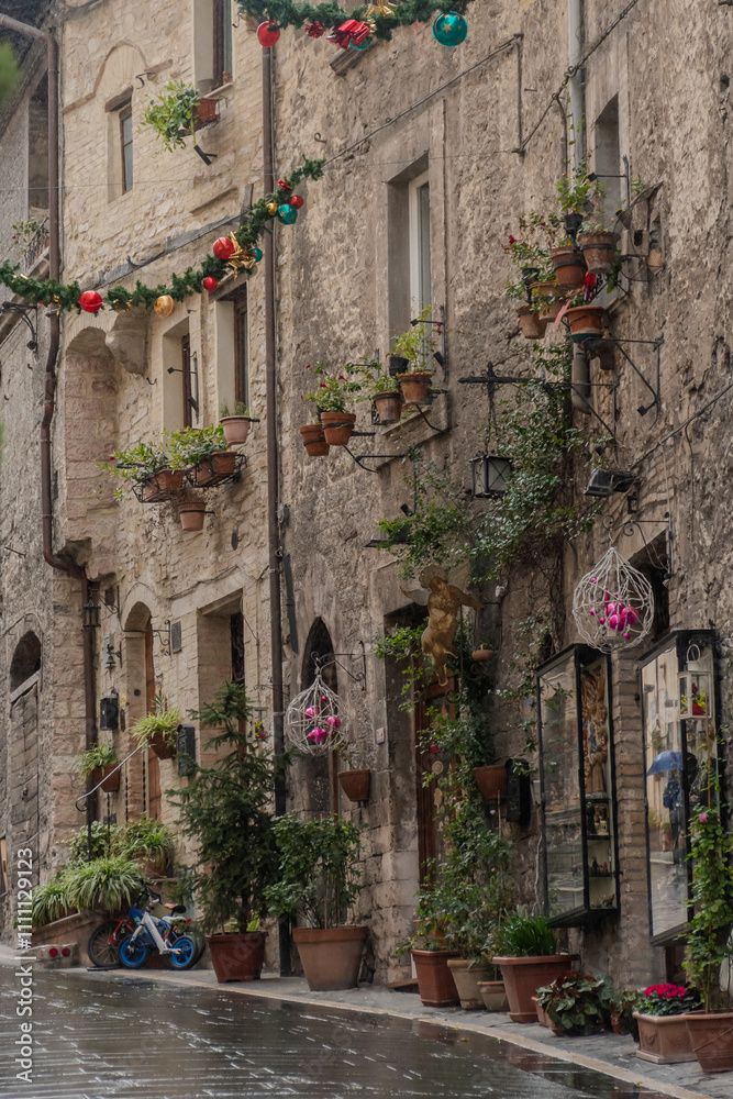 Fototapeta premium Assisi - Perugia - Umbria - Italia