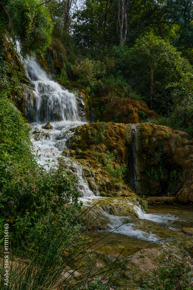 Beautiful view of the waterfalls covered in a dense forest Beautiful view of the waterfalls covered in a dense forest