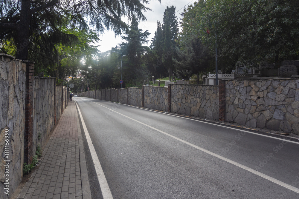 Fototapeta premium city ​​road, forest road mountain road 