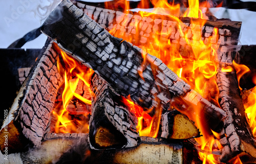 birch firewood burns with a bright flame until hot coals are formed for frying meat