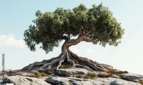 A solitary, ancient tree with thick roots firmly embedded in rocky terrain, its branches spreading wide under a bright, cloudless sky