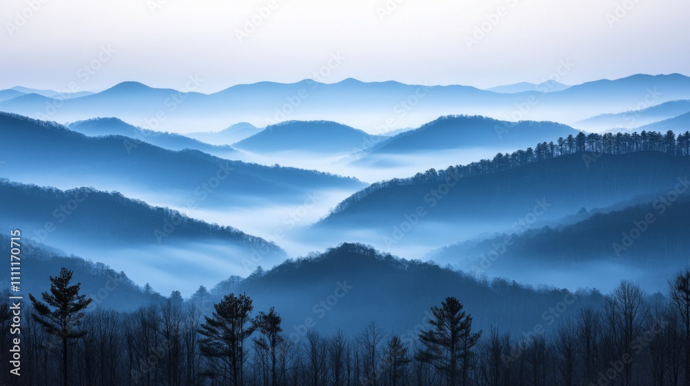 Obraz premium Blue Mountains Enveloped in Mist at Dawn