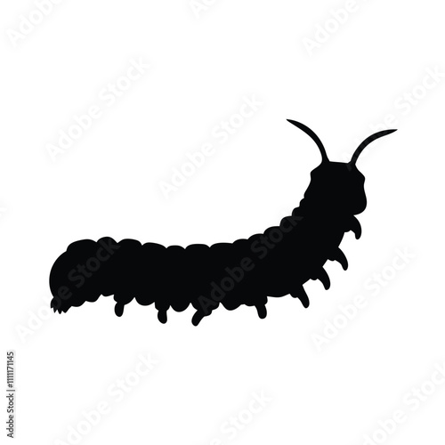 A black and white drawing of a large, long, and skinny caterpillar. The caterpillar is curled up and has a long, thin body