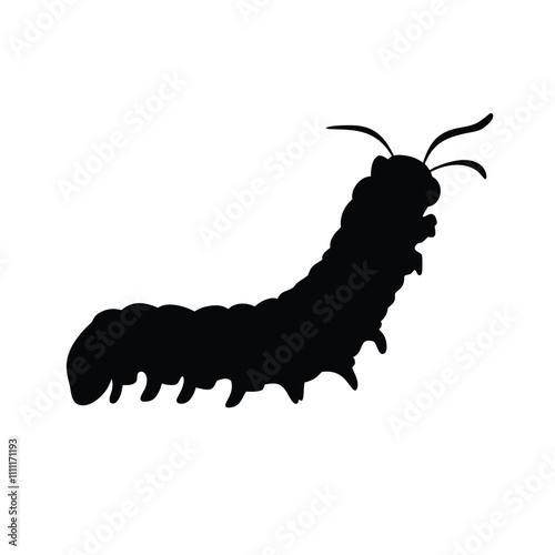 A black and white drawing of a large, long, and skinny caterpillar. The caterpillar is curled up and has a long, thin body