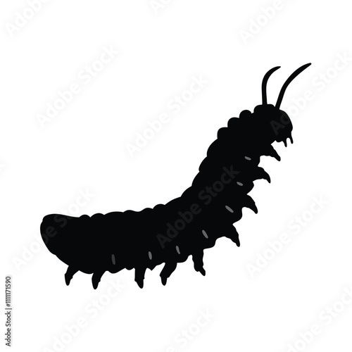 A black and white drawing of a large, long, and skinny caterpillar. The caterpillar is curled up and has a long, thin body