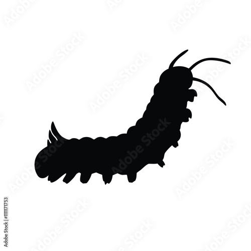A black and white drawing of a large, long, and skinny caterpillar. The caterpillar is curled up and has a long, thin body