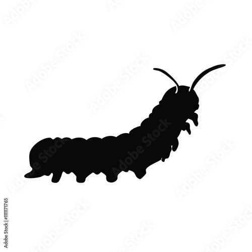 A black and white drawing of a large, long, and skinny caterpillar. The caterpillar is curled up and has a long, thin body