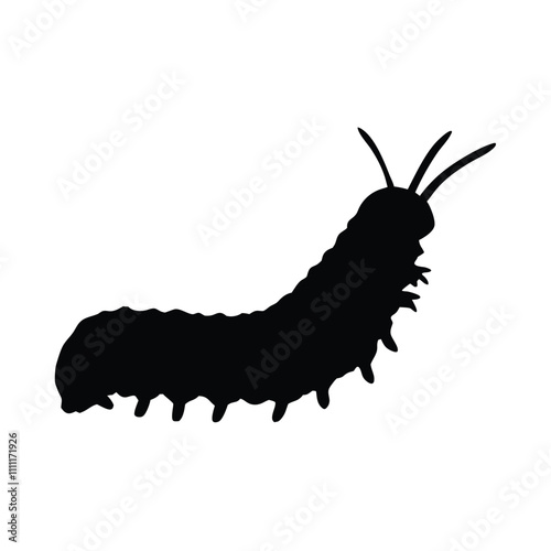 A black and white drawing of a large, long, and skinny caterpillar. The caterpillar is curled up and has a long, thin body
