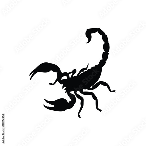 A black scorpion with a long tail. The tail is curled up. The scorpion is on a white background