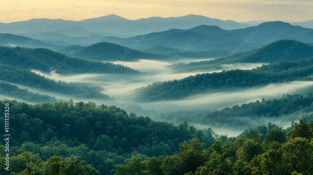 Naklejka premium Misty Mountain Landscape with Rolling Hills and Forested Slopes